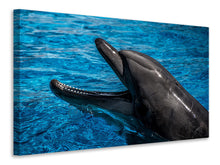 Lade das Bild in den Galerie-Viewer, Leinwandbild Freundlicher Delphin
