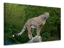 Lade das Bild in den Galerie-Viewer, Leinwandbild Gepard auf dem Sprung
