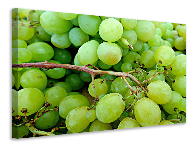 Leinwandbild Grüne Weintrauben