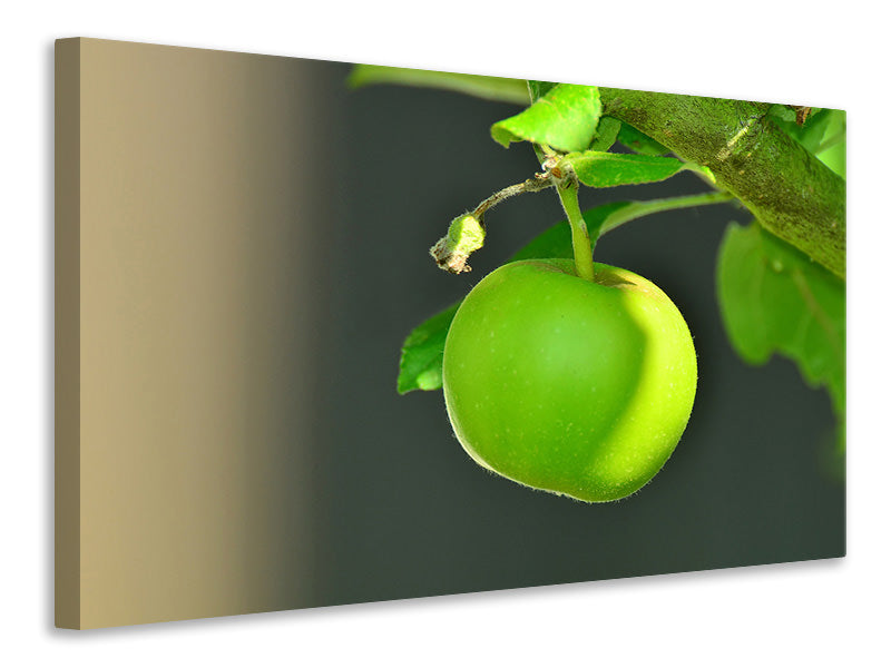Leinwandbild Grüner Apfel