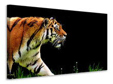 Lade das Bild in den Galerie-Viewer, Leinwandbild Imposanter Tiger
