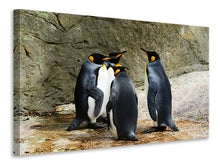 Lade das Bild in den Galerie-Viewer, Leinwandbild König Pinguine
