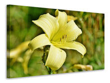 Lade das Bild in den Galerie-Viewer, Leinwandbild Lilien Blüte in gelb
