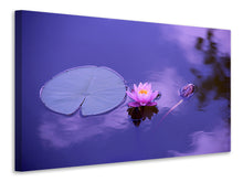 Lade das Bild in den Galerie-Viewer, Leinwandbild Lotus Blüte
