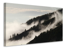 Lade das Bild in den Galerie-Viewer, Leinwandbild Nebel in den Wälder

