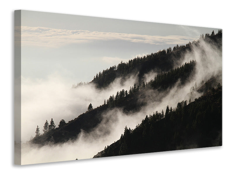 Leinwandbild Nebel in den Wälder