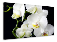 Lade das Bild in den Galerie-Viewer, Leinwandbild Orchidee Close up
