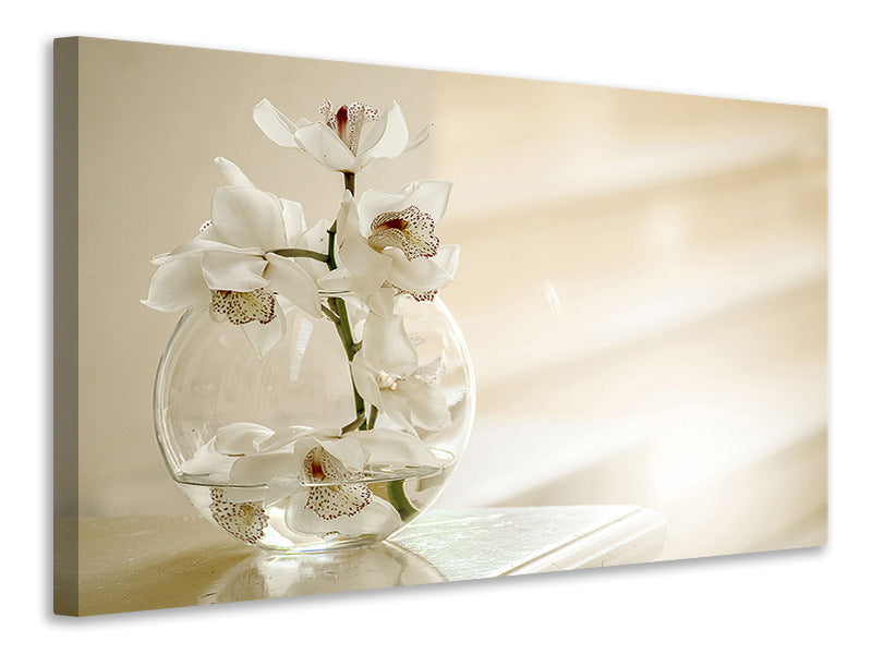 Leinwandbild Orchidee im Glas