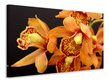 Lade das Bild in den Galerie-Viewer, Leinwandbild Orchideen mit orangen Blüten
