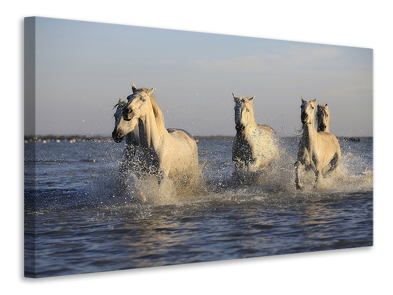 Leinwandbild Pferde im Meer