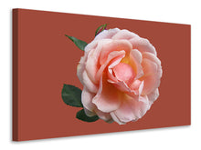 Lade das Bild in den Galerie-Viewer, Leinwandbild Rose in rosa XXL
