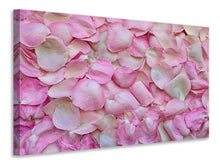 Lade das Bild in den Galerie-Viewer, Leinwandbild Rosenblüten in rosa
