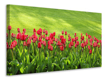 Lade das Bild in den Galerie-Viewer, Leinwandbild Rotes Tulpenfeld im Sonnenlicht
