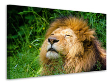 Lade das Bild in den Galerie-Viewer, Leinwandbild Schlafender Löwe

