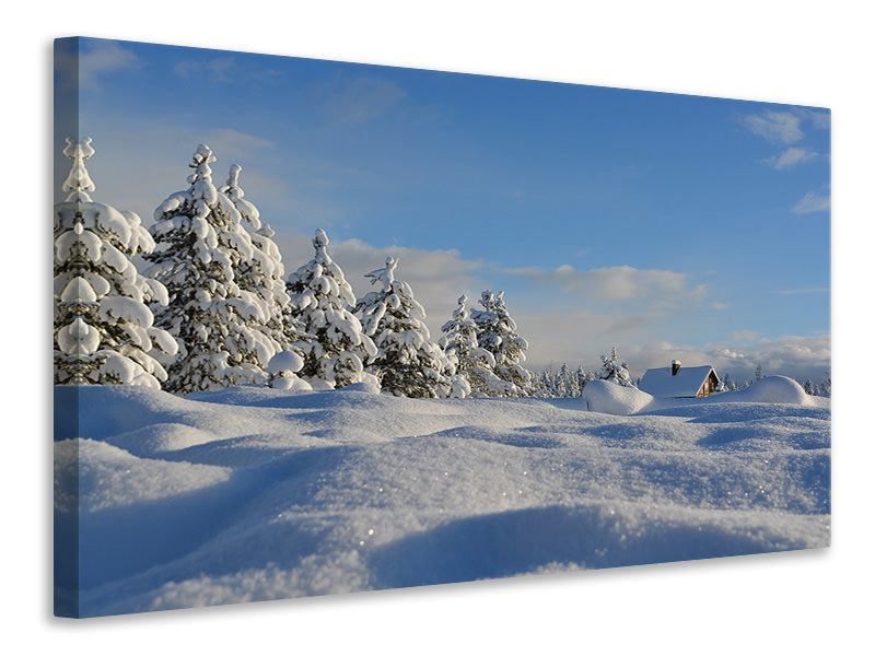 Leinwandbild Schöne Schnee Landschaft