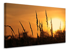 Lade das Bild in den Galerie-Viewer, Leinwandbild Sonnenaufgang auf dem Feld
