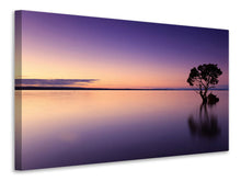 Lade das Bild in den Galerie-Viewer, Leinwandbild Sonnenuntergang am Baum im Wasser
