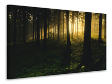 Lade das Bild in den Galerie-Viewer, Leinwandbild Sonnenuntergang im Wald
