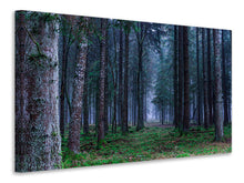 Lade das Bild in den Galerie-Viewer, Leinwandbild Tannen Wald

