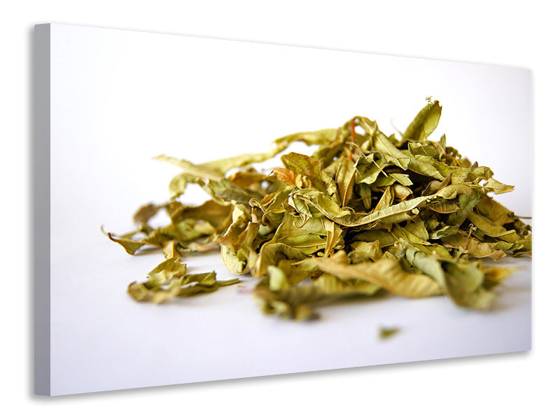 Leinwandbild Tee Blätter