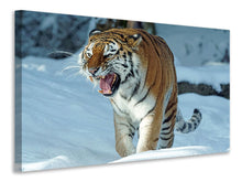Lade das Bild in den Galerie-Viewer, Leinwandbild Tiger im Schnee 
