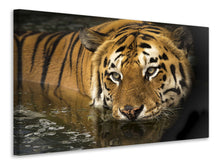 Lade das Bild in den Galerie-Viewer, Leinwandbild Tiger im Wasser
