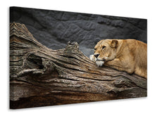 Lade das Bild in den Galerie-Viewer, Leinwandbild Träumende Löwin
