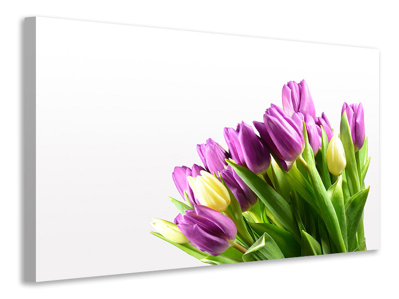 Leinwandbild Tulpen in XL