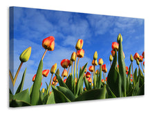 Lade das Bild in den Galerie-Viewer, Leinwandbild Tulpen ragen zum Himmel
