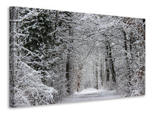 Lade das Bild in den Galerie-Viewer, Leinwandbild Verzauberter Winterwald
