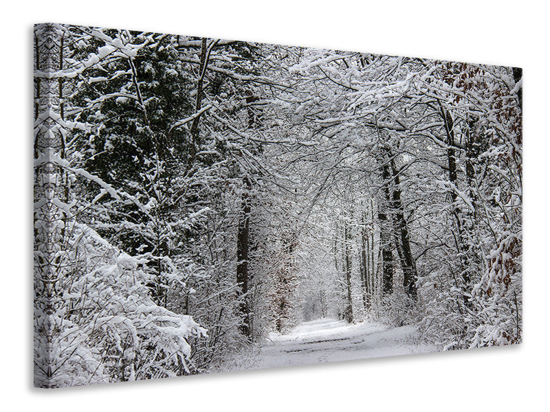 Leinwandbild Verzauberter Winterwald