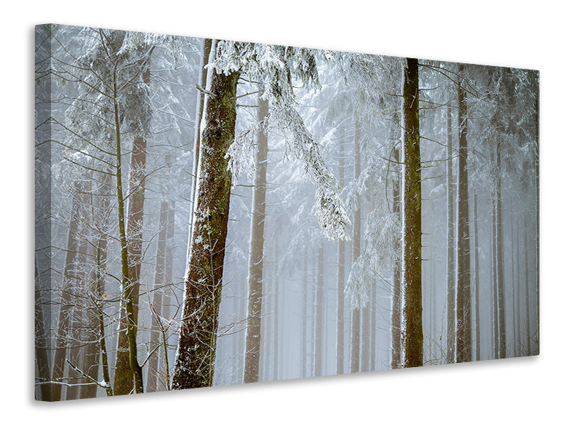 Leinwandbild Wald im Winter