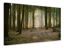 Lade das Bild in den Galerie-Viewer, Leinwandbild Wald Lauf
