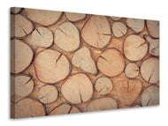 Leinwandbild Wand Bäume