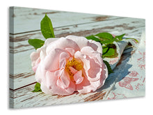 Lade das Bild in den Galerie-Viewer, Leinwandbild Wildrose in rosa
