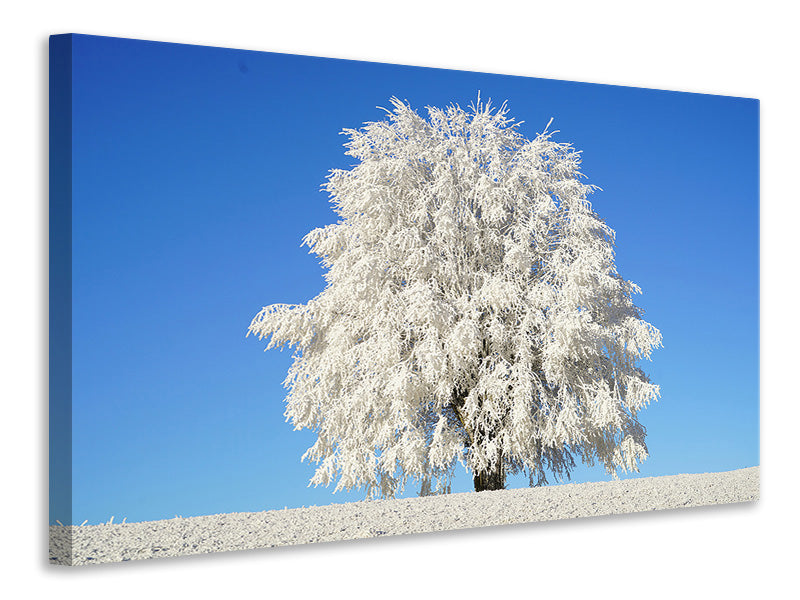 Leinwandbild Winter Baum