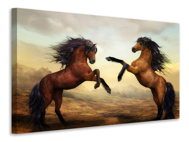 Leinwandbild Zwei wilde Pferde