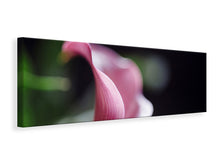 Lade das Bild in den Galerie-Viewer, Leinwandbild Panorama Calla in lila
