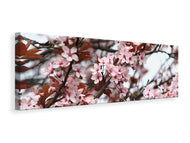 Leinwandbild Panorama Der Frühling ist da