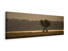 Lade das Bild in den Galerie-Viewer, Leinwandbild Panorama Elefant alleine in der Steppe
