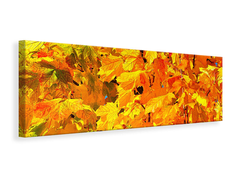 Leinwandbild Panorama Herbst Blätter