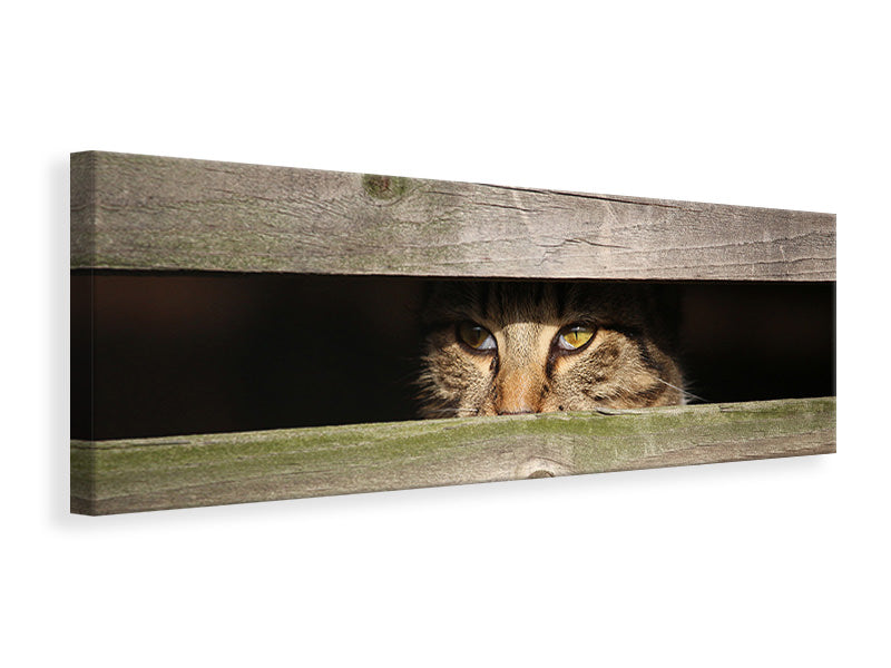 Leinwandbild Panorama Katze im Versteck