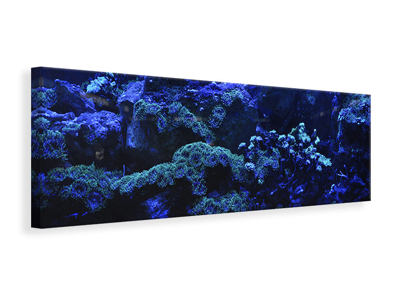 Leinwandbild Panorama Korallenriff in blau