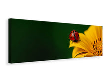 Lade das Bild in den Galerie-Viewer, Leinwandbild Panorama Marienkäfer auf der Sonnenblume
