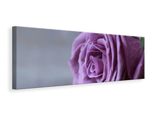 Lade das Bild in den Galerie-Viewer, Leinwandbild Panorama Rose in Lila XXL
