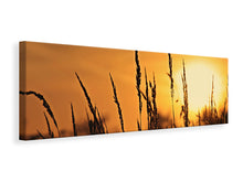Lade das Bild in den Galerie-Viewer, Leinwandbild Panorama Sonnenaufgang auf dem Feld

