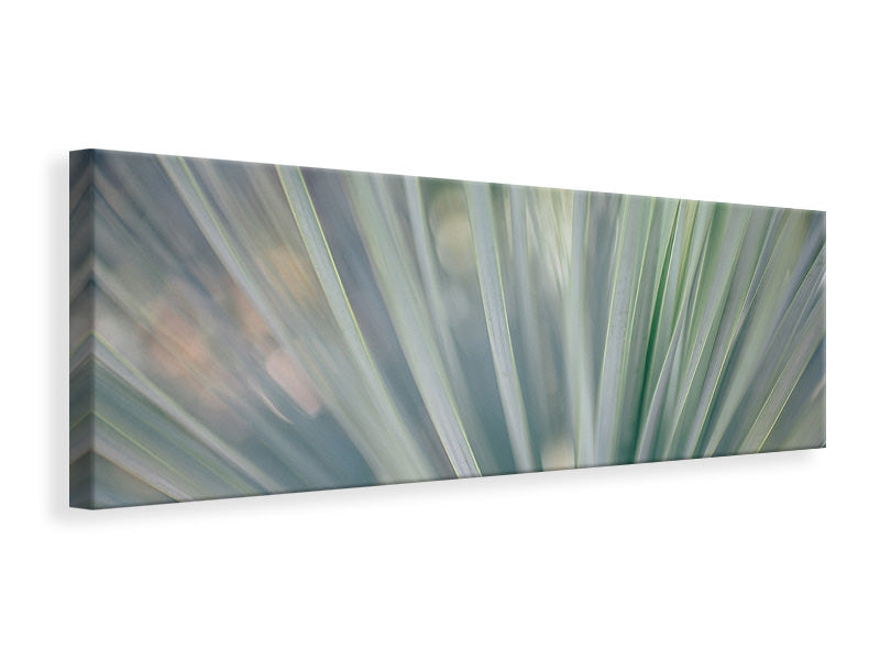 Leinwandbild Panorama Streifen von Pflanze