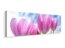 Lade das Bild in den Galerie-Viewer, Leinwandbild Panorama Tulpen in der Natur
