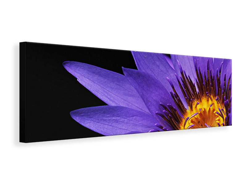 Leinwandbild Panorama XL Seerose in lila